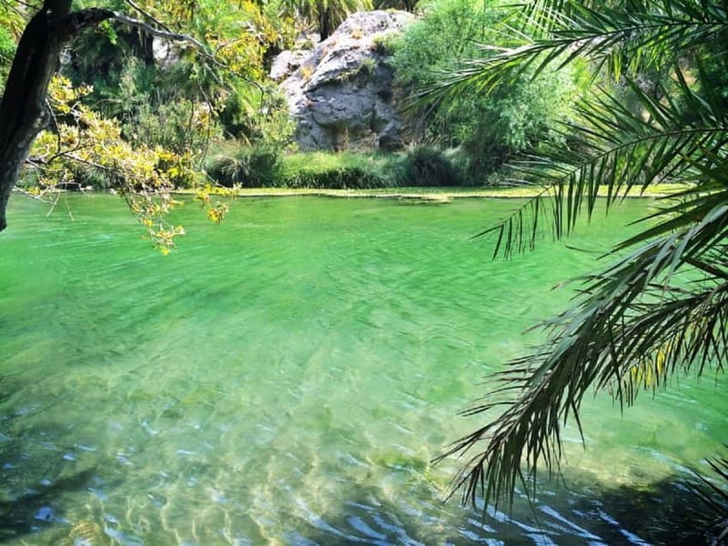 Rethymno/Chania: Preveli Beach and Kourtaliotiko Gorge Tour - The Bottom Line: Who Will Love This Tour?