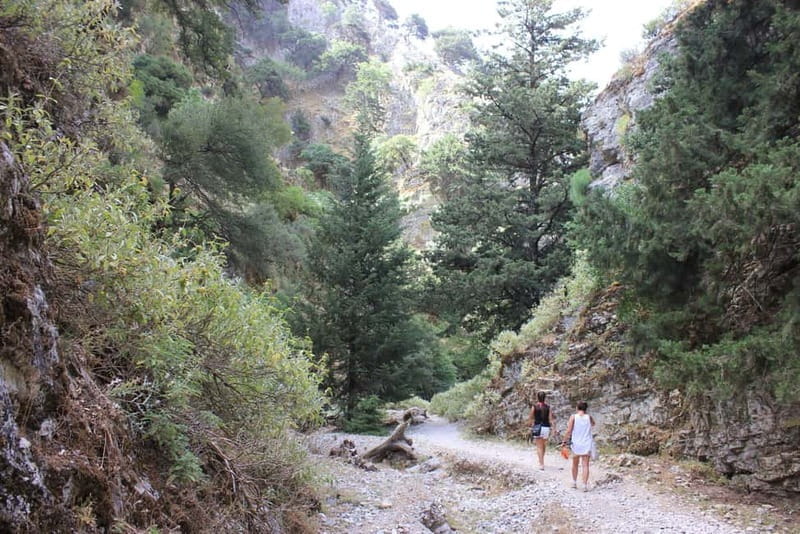 Rethymno: Imbros Gorge and Frangokastello Beach Hiking Tour - Transportation and Logistics: Making It All Easy