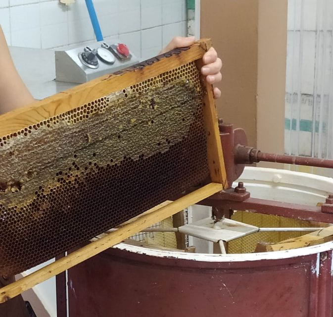 Rethymno: Private Olive Oil & Honey Tasting Tour With Lunch - Family-Owned Olive Oil Press