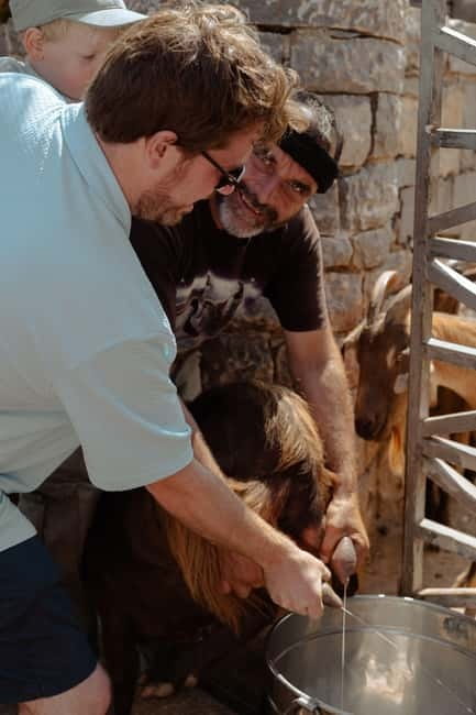 Rethymno: Shepherd For A Day - Exploring the Life of a Cretan Shepherd