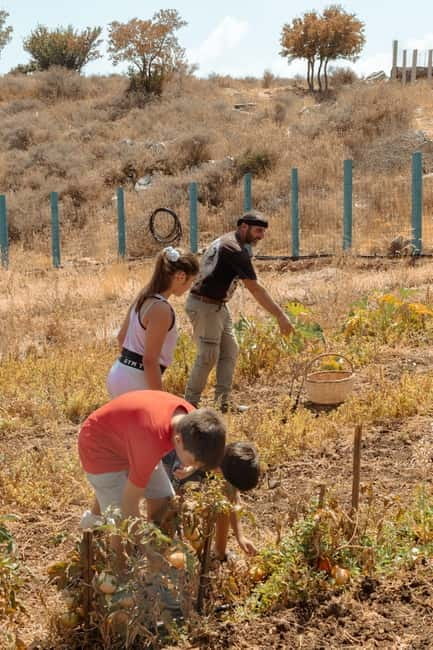 Rethymno: Shepherd For A Day - Who Will Love This Tour?