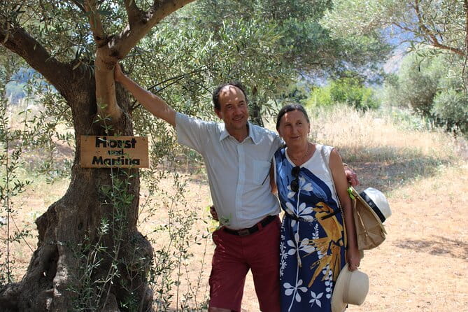 Rethymnon Olive Tree Sponsorship Protect and Plant Tour - The Sum Up