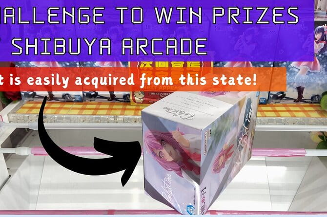 Retro Game Treasure Discovery Tour - Customizable Experience