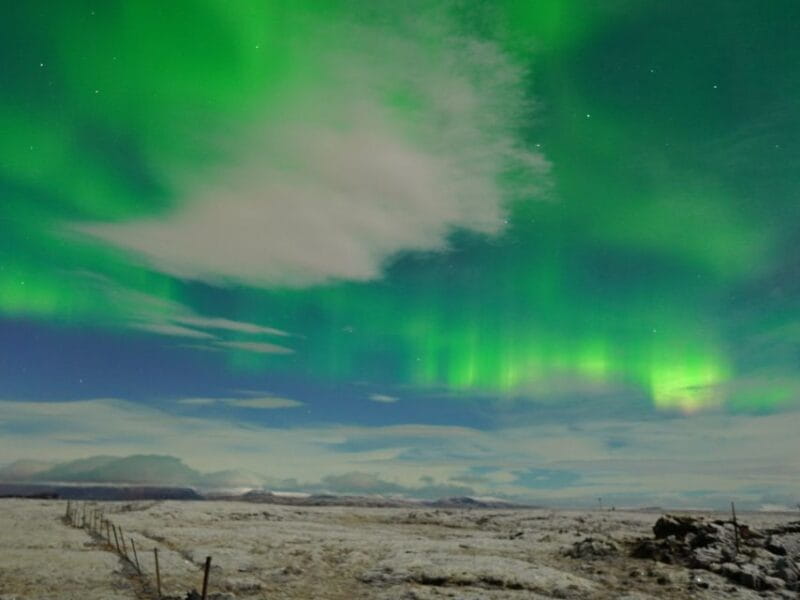 Reykjavik: Aurora Minibus w/ Pro Photos & Free Retry - Who Will Love This Tour?