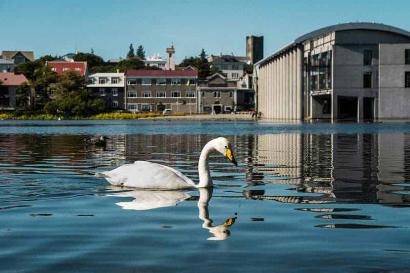 Reykjavík & Blue Lagoon Private Tour - Price and Value Consideration