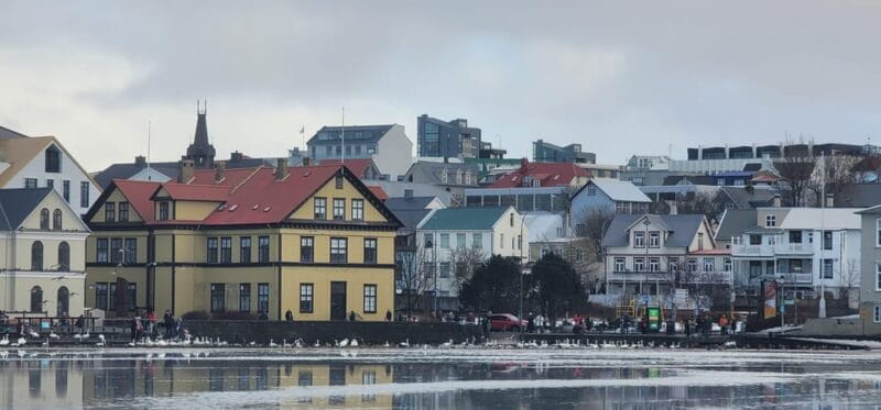 Reykjavik City private tour: Hallgrímskirkja, Perlan & More! - Key Points/Takeaways