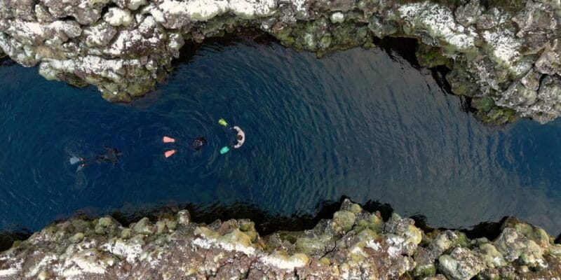 Reykjavik Combo: Horse Riding & Snorkeling in Silfra Fissure - The Sum Up