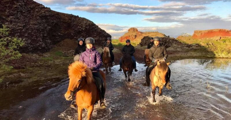 Reykjavik: Evening Sleipnir Horse Riding Tour with Pickup - Post-Ride Comfort and Authentic Icelandic Hospitality