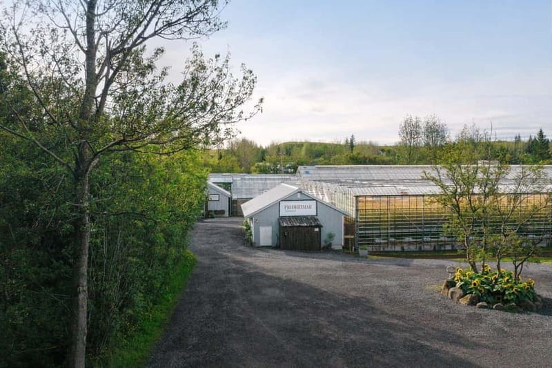 Reykjavík: Golden Circle & Food Tasting with Secret Lagoon - Relaxing at Secret Lagoon: A Natural Geothermal Haven