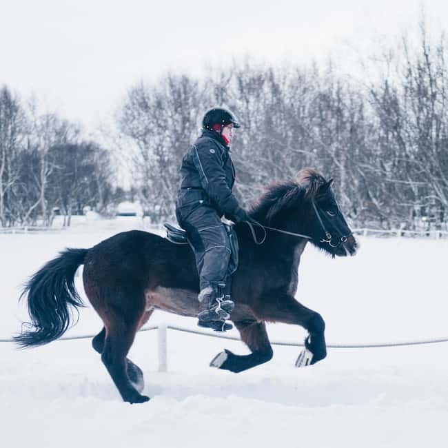 Reykjavik: Golden Circle, Fridheimar, & Sky Lagoon Day Trip - FAQ