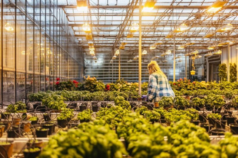 Reykjavik: Golden Circle, Kerid, and Fridheimar Minibus Tour - Key Points / Takeaways