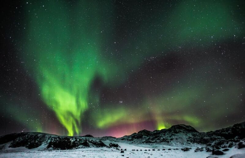 Reykjavík: Group Northern Lights Tour with Pics & Hot Cocoa - Price and Value Analysis