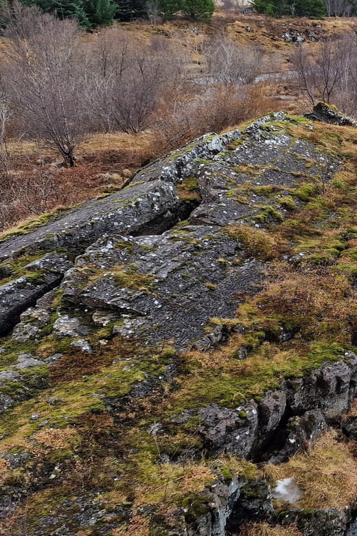 Reykjavik Hidden gems - Private - Half Day tour - with local - Exploring Reykjavik’s Hidden Natural and Historical Sights