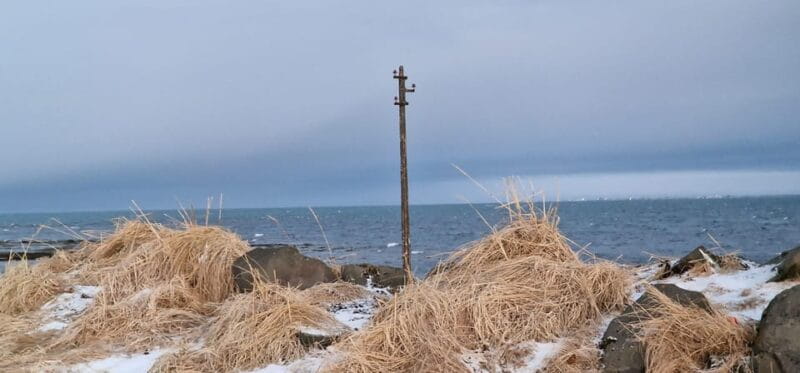 Reykjavik Hidden gems - Private - Half Day tour - with local - Final Thoughts