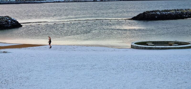 Reykjavik Hidden gems - Private - Half Day tour - with local - FAQ