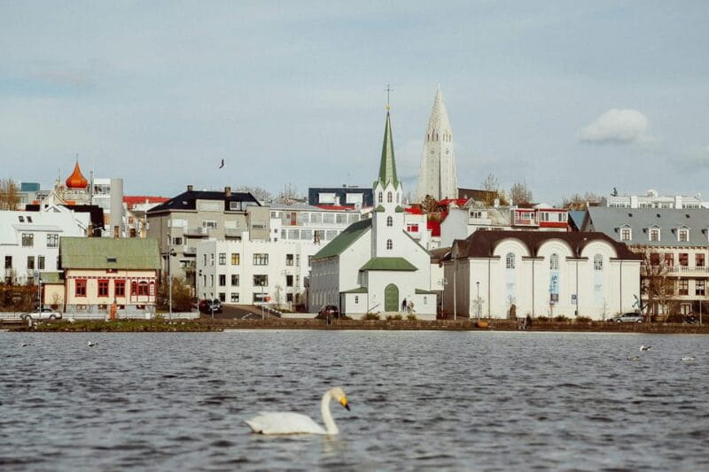 Reykjavik: Meet and Greet with a Local Guide - The Experience: A Truly Personal Introduction