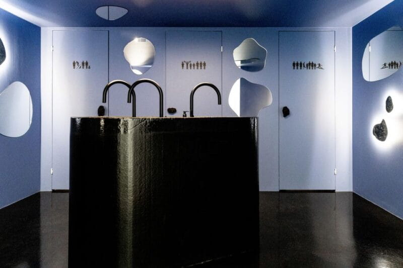 Reykjavík: Multi-Sensory Art Installation Chromo Sapiens - Value and Price Analysis