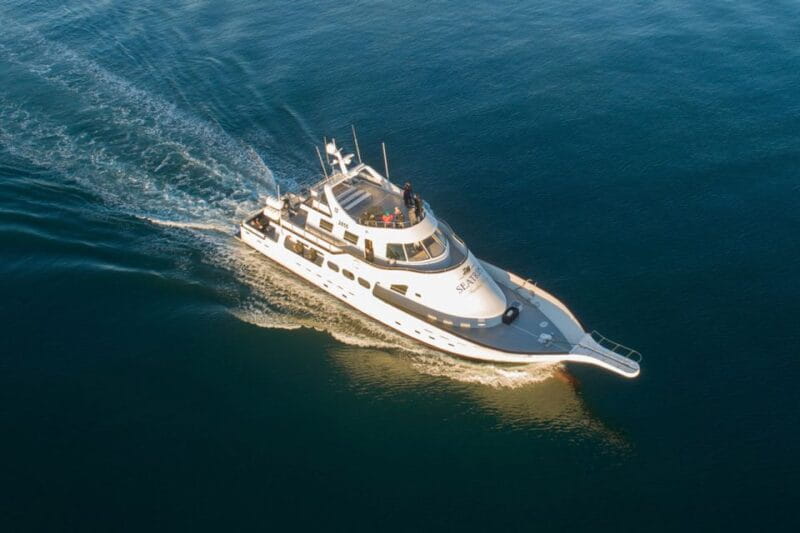 Reykjavik: New Years Fireworks Midnight Cruise - Who Will Love This Experience?