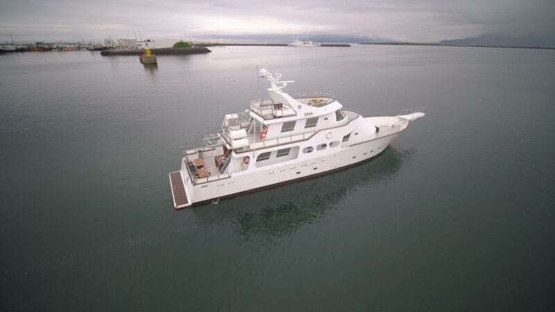 Reykjavik: New Years Fireworks Midnight Cruise - What To Bring and Tips for the Night