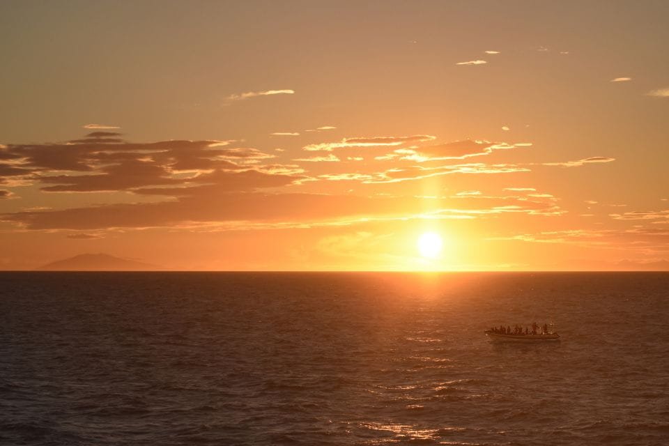 Reykjavik: Premium Whale and Puffin Watching Evening Tour - Whats Included