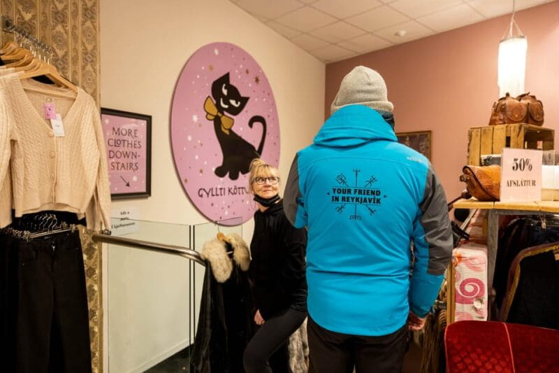 Reykjavik: Private Folklore and Catwalk Walking Tour - Exploring Reykjavik’s Folklore and Feline Charm: A Detailed Review