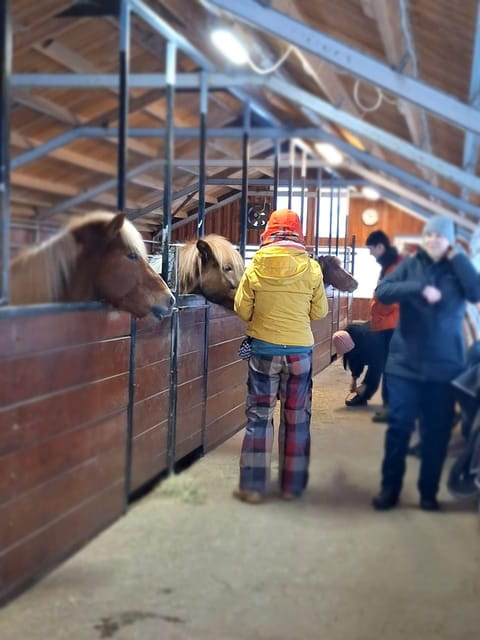 Reykjavik: Silver Circle of West Iceland Day Tour - Key Points/Takeaways