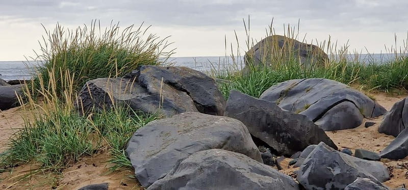 Reykjavik: Snaefellsnes Peninsula private tour with local - FAQ