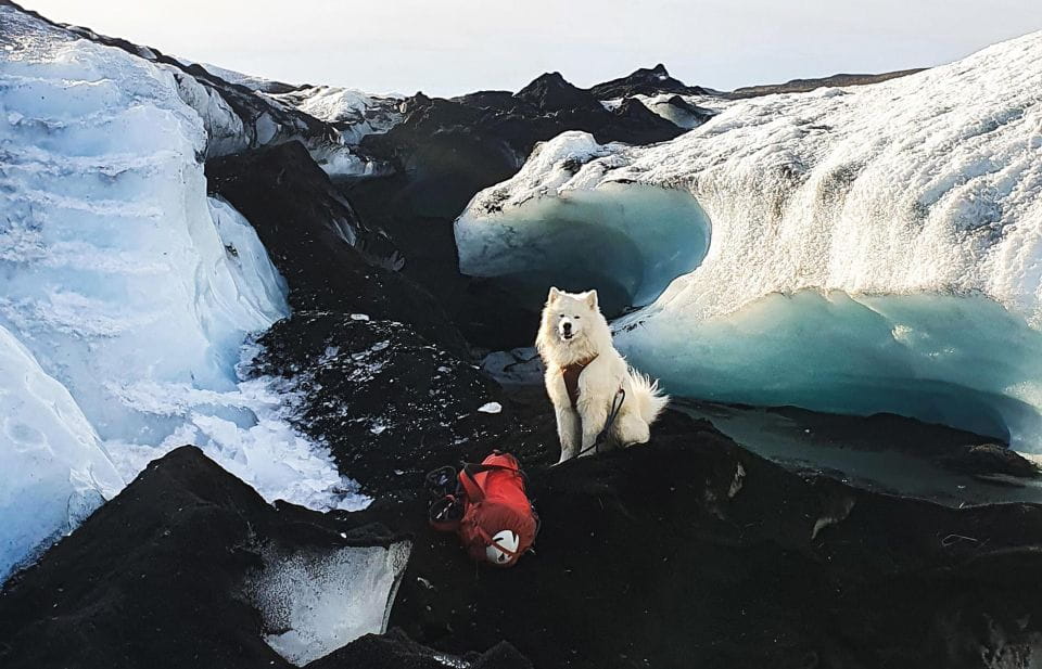 Reykjavik/Sólheimajökull: Glacier Hiking & Ice Climbing Trip - Key Points