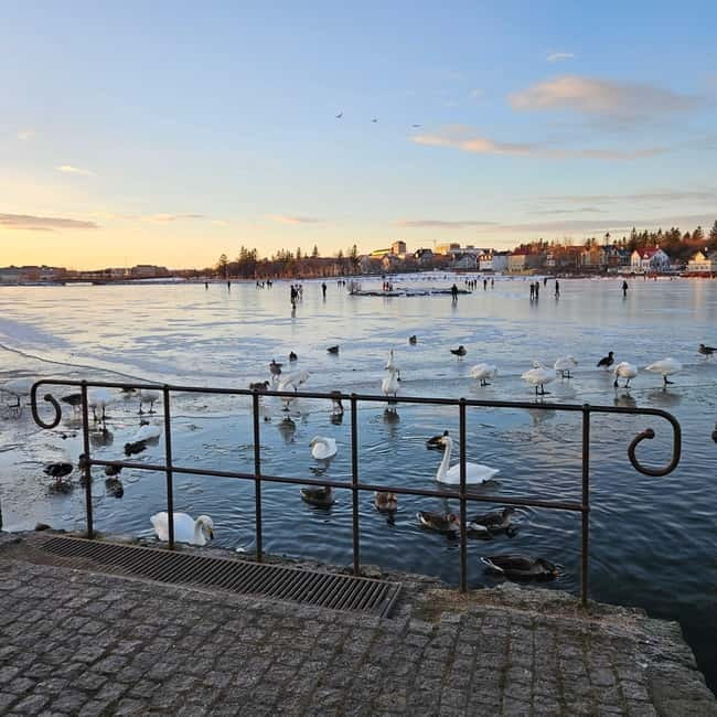 Reykjavik: Street Food Walking Tour - Who Should Consider This Tour?