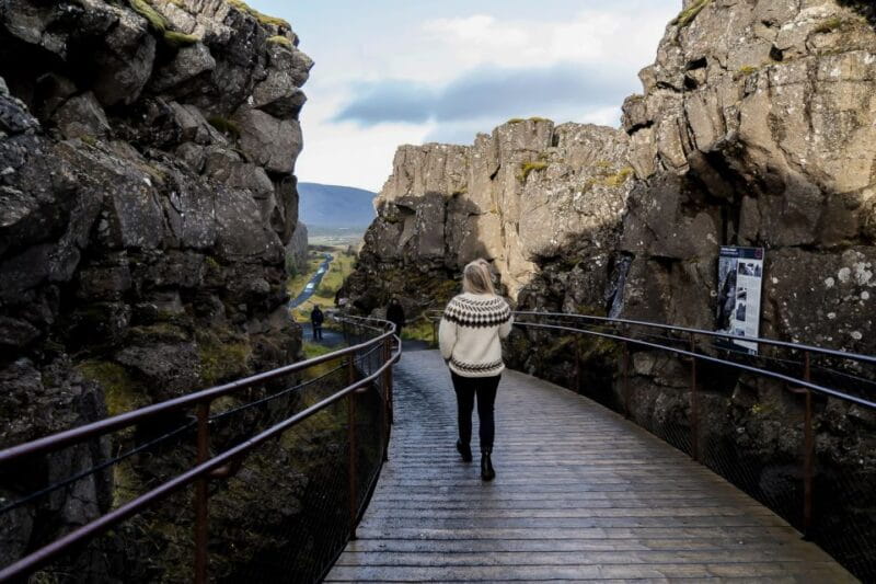Reykjavik: The Golden Circle Full-Day Tour - Who Will Love This Tour?