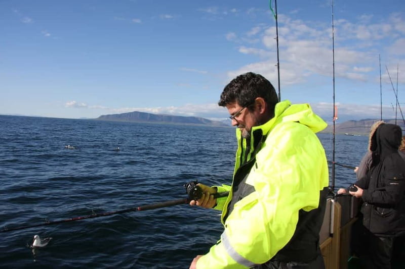 Reykjavik: Traditional Sea Fishing with BBQ Feast - FAQs