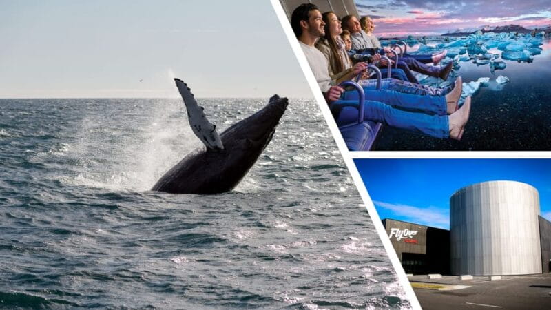 Reykjavík: Whale Watching Cruise and FlyOver Combo Ticket - The Sum Up: Is It Worth It?
