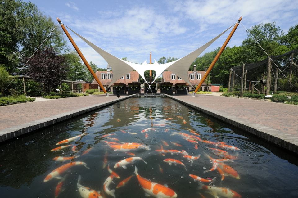 Rhenen: Ouwehands Zoo Entry Ticket - Key Points