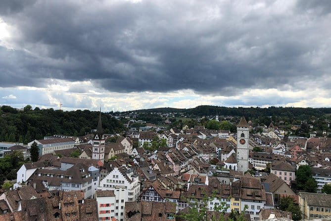 Rhine Falls and Stein am Rhein (Private Tour) - The Charm of Stein am Rhein
