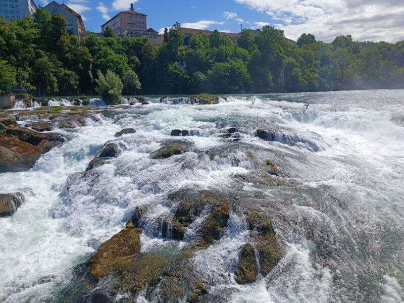 Rhine Falls & Stein am Rhein: Private Tour with a Local - Price and Value: Is It Worth It?
