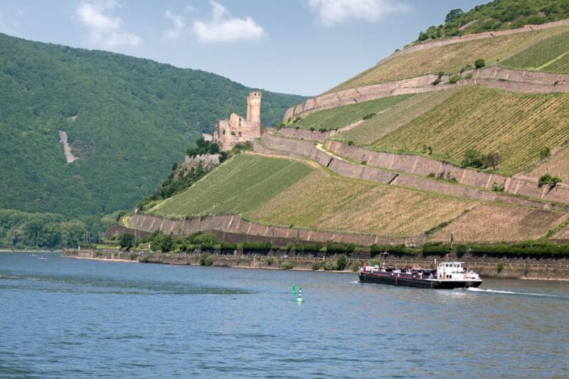 Rhine Valley Castles: 1.5-Hour Boat Tour from Rüdesheim - Who Would Love This Experience?