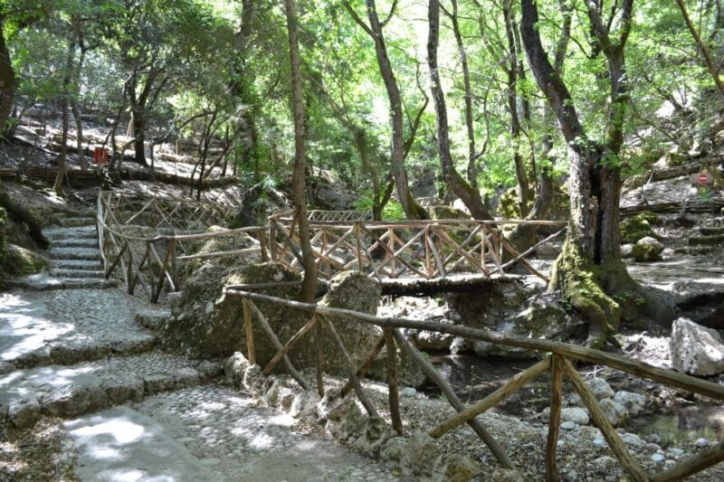 Rhodes: Filerimos hill and Butterflies Valley-Small Group - A Detailed Look at the Experience