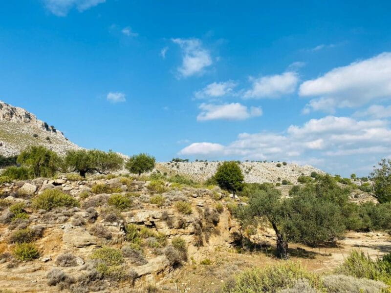 Rhodes: Guided Hike to 7 springs from Archangelos - Key points / Takeaways