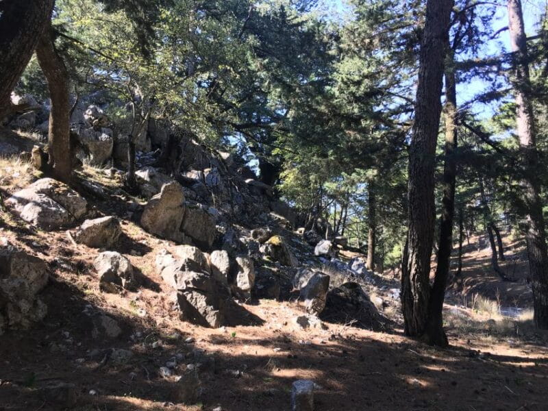 Rhodes North Safari: Hidden Paths & Scenic Flavors - Price and Logistics: Good Value for a Full Day