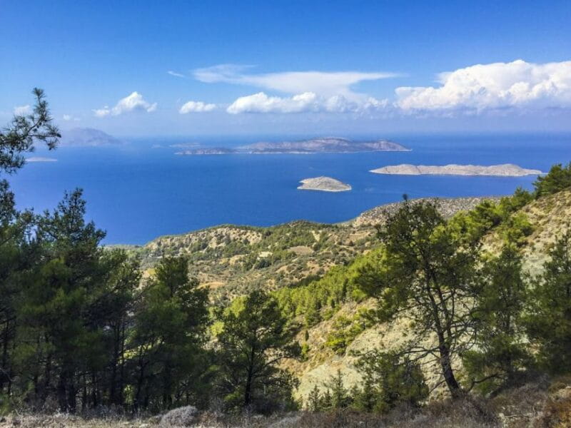 Rhodes North Safari: Hidden Paths & Scenic Flavors - Final Thoughts: Authentic, Scenic, and Fun