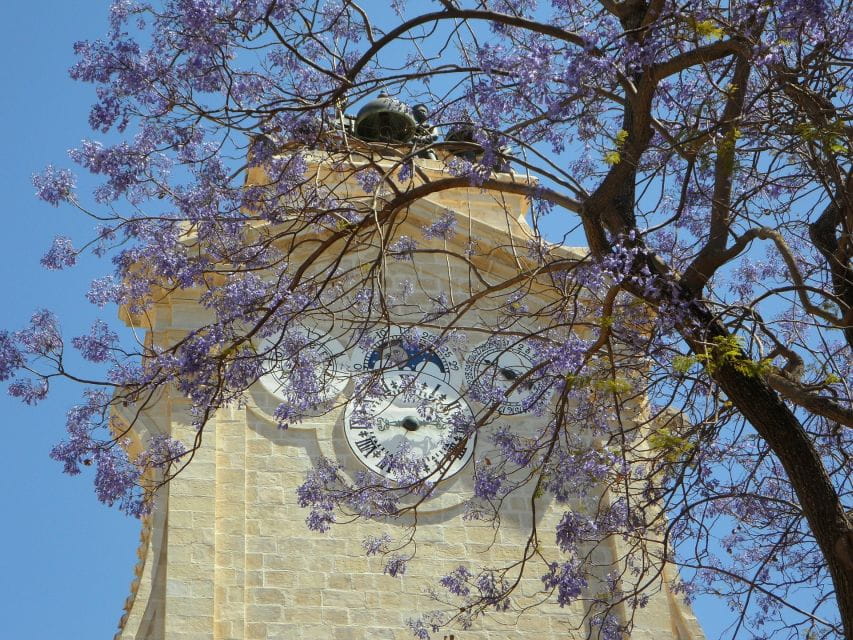 Rhodes: Old Town Private Walking Tour With an Expert Guide - Booking Information