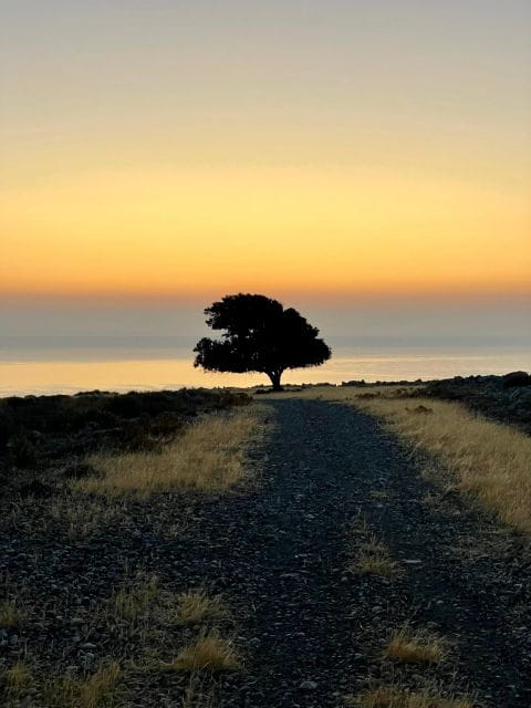 Rhodes: Pefkos-Navarone Bay, the magic of sunrise - Key Points / Takeaways