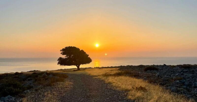 Rhodes: Pefkos-Navarone Bay, the magic of sunrise - Exploring the Details: Why This Tour Stands Out