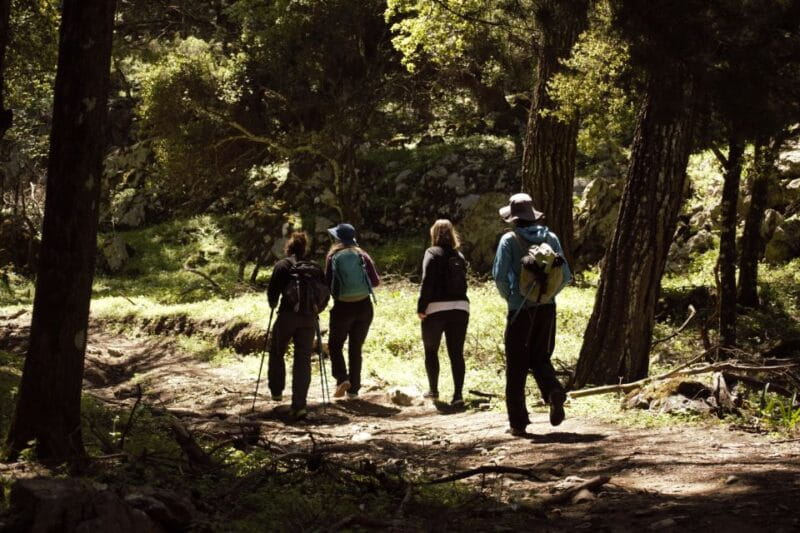 Rhodes: Profitis Ilias Guided Sunset Hike - Transportation and Logistics: Making It Easy