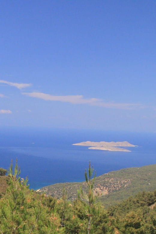 Rhodes: Safari with experienced driver - South pick ups - Final Thoughts: Who Should Book This?