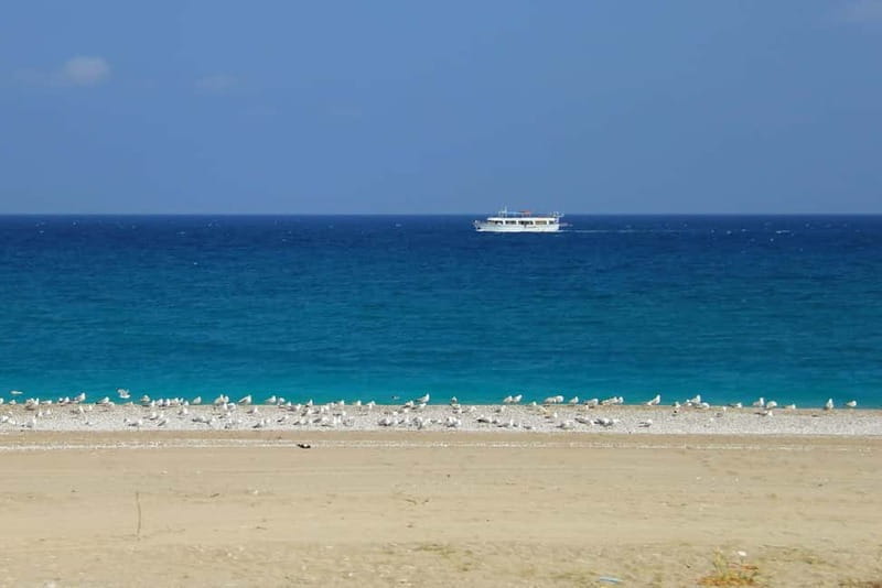 Rhodes: Safari with our driver - North - Pick ups East Coast - Authentic Guides and a Focus on Genuine Experience