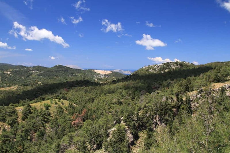 Rhodes: Safari with our driver - North - Pick ups East Coast - Unique Aspects and Final Thoughts