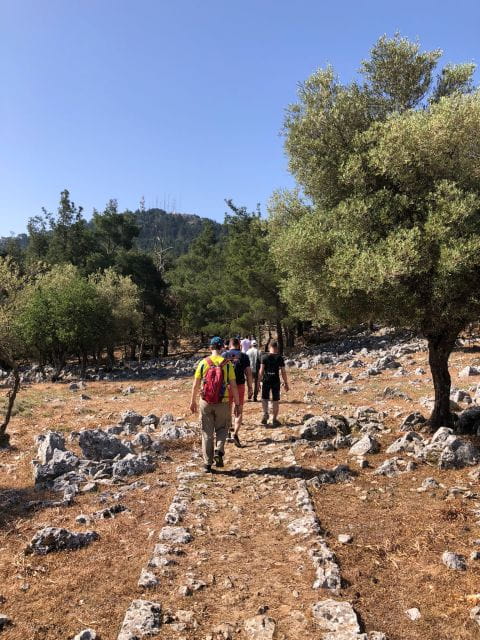 Rhodes: Salakos to Profitis Ilias 4 hours Guided Hike - Who Will Love This Hike?