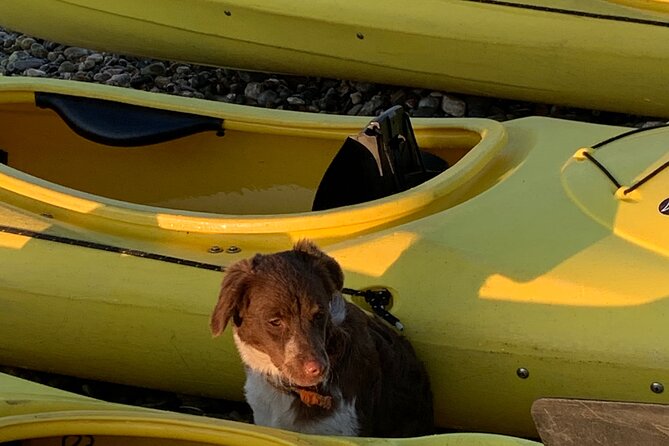 Rhodes Sea Kayaking Adventure Including Transfers - Guided Sea Kayaking Experience