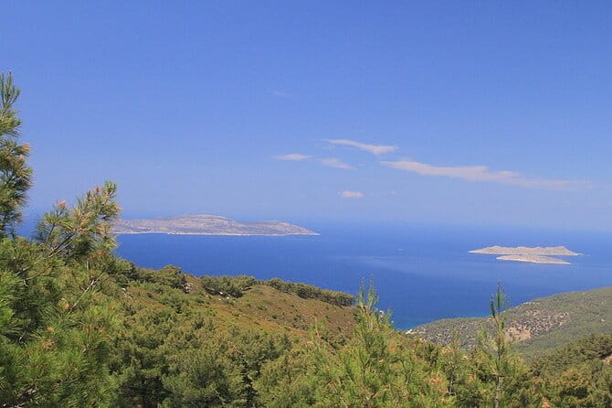 Rhodes Self drive 4x4 Safari Adventure - South pick ups - An In-Depth Look at the Rhodes Self Drive 4x4 Safari